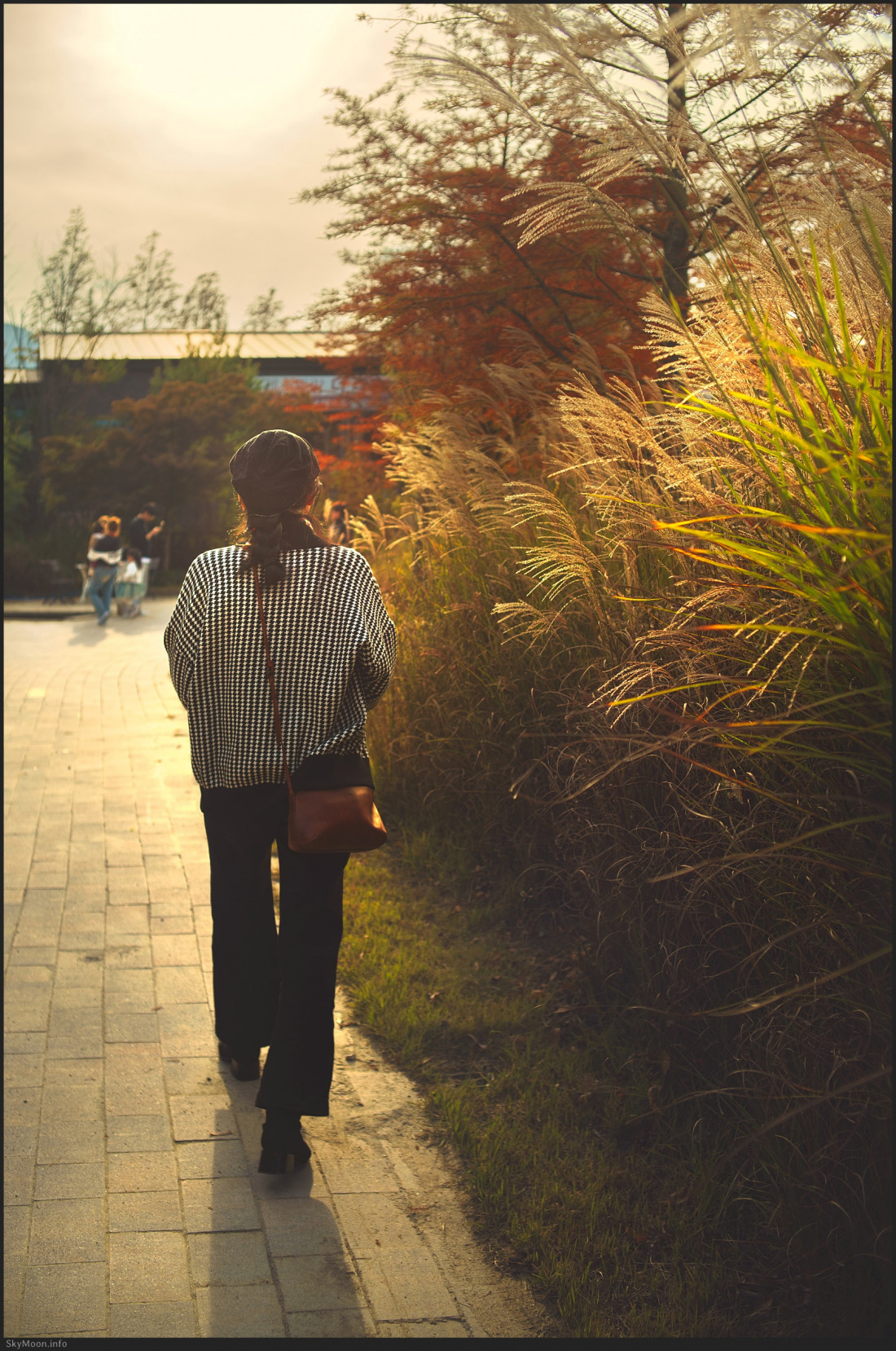 아산 모나밸리 (MonaValley) Photo-Image