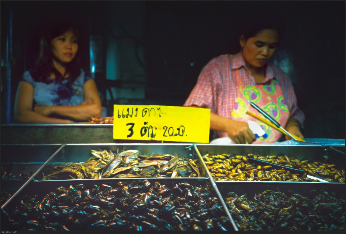 태국 방콕 Photo-Image