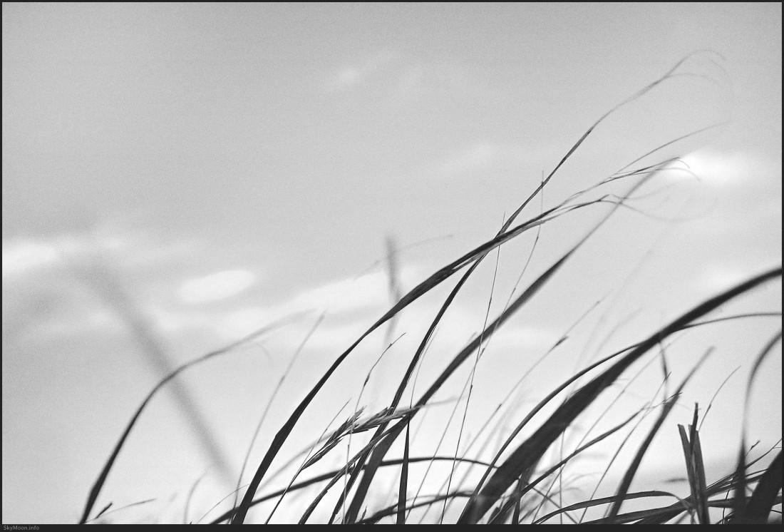 소매물도 거북등 Photo-Image