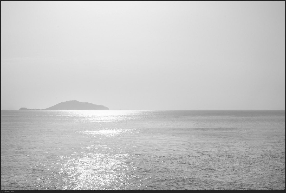 서천 마량리 동백나무 숲 Photo-Image