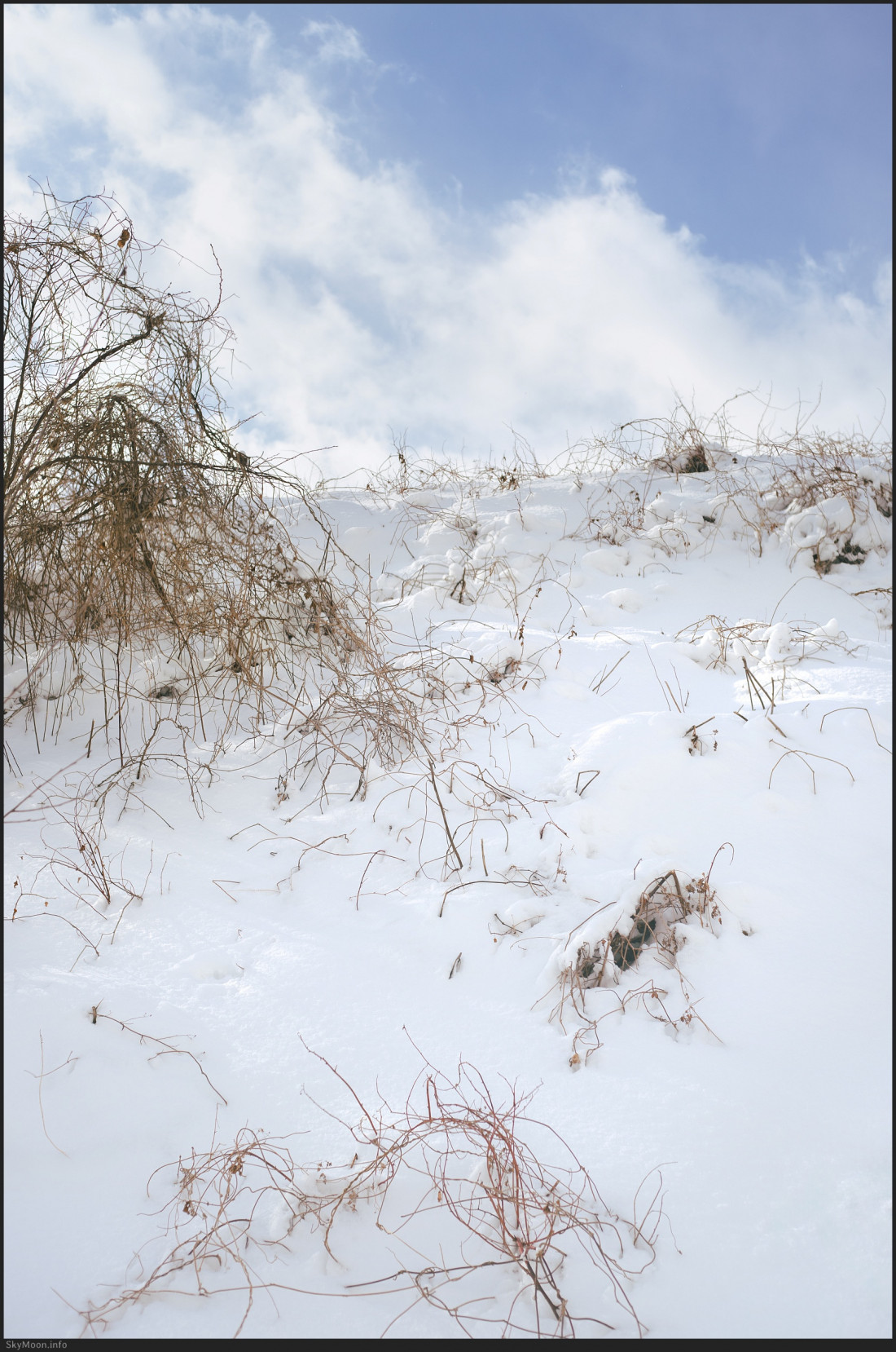 부여,보령 설경-B Photo-Image