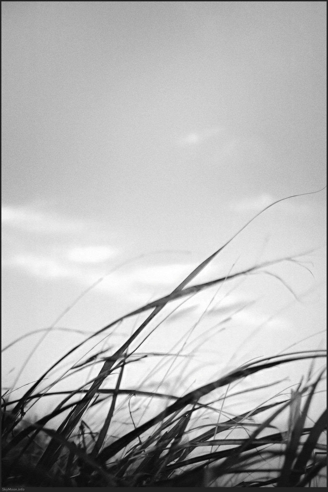 소매물도 거북등 Photo-Image