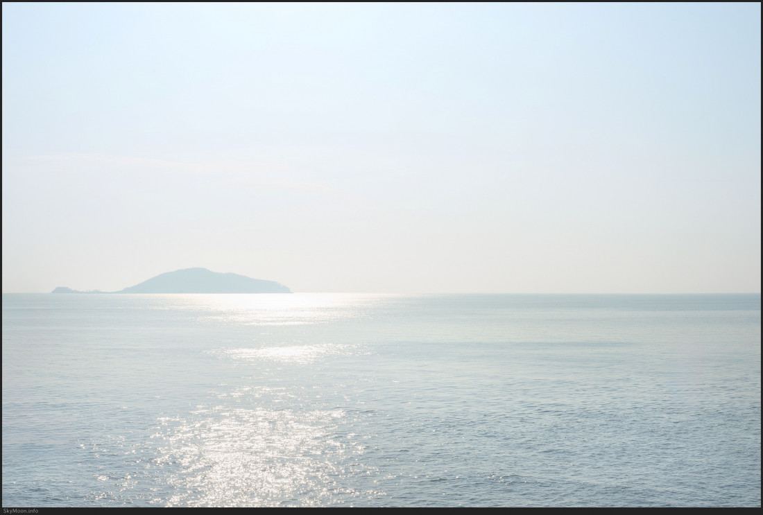 서천 마량리 동백나무 숲 Photo-Image