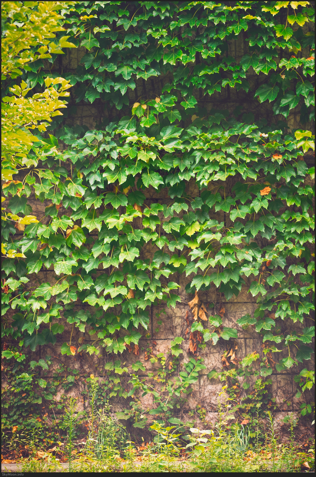 서울 DDP Photo-Image