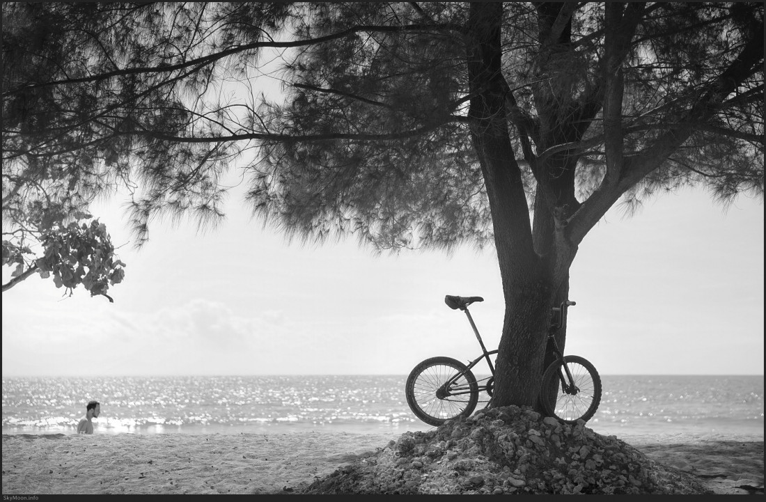 길리 트라왕안,롬복,인도네시아 Photo-Image