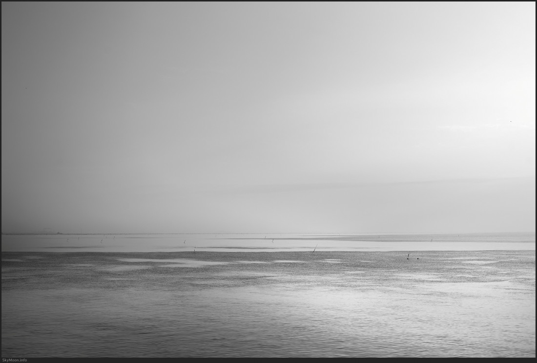 서천 마량리 동백나무 숲 Photo-Image