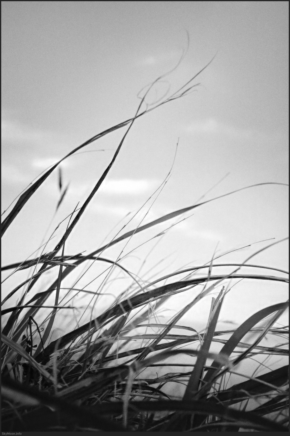 소매물도 거북등 Photo-Image