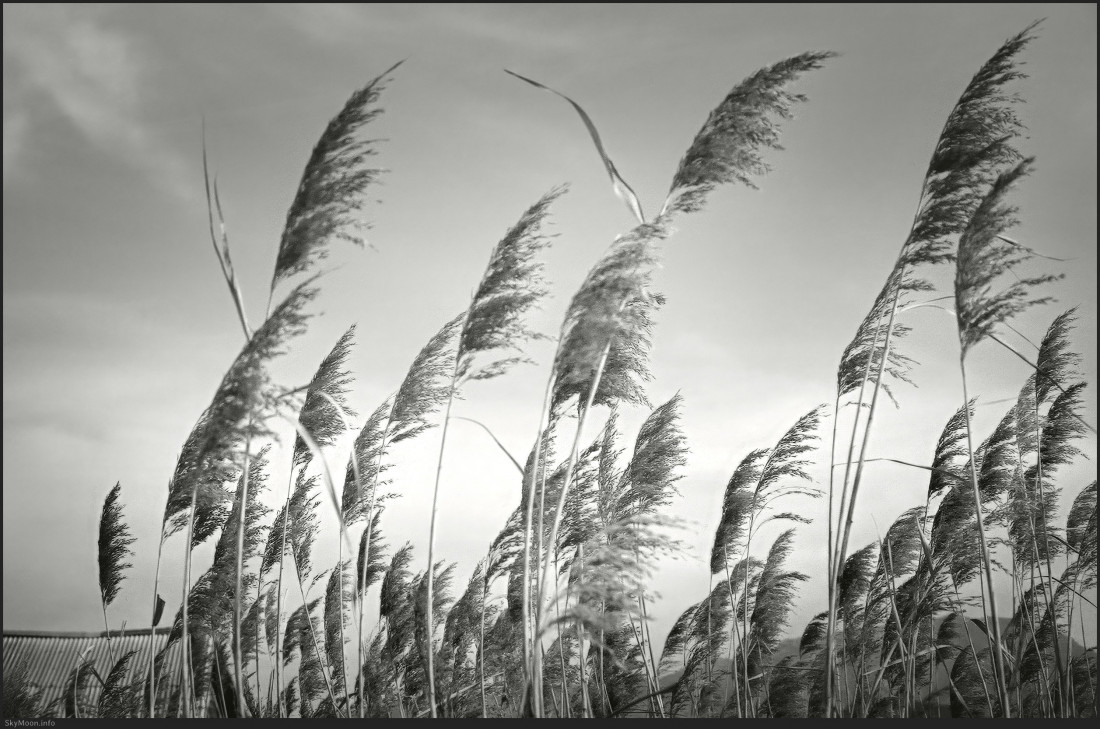 구시포 해변 Photo-Image