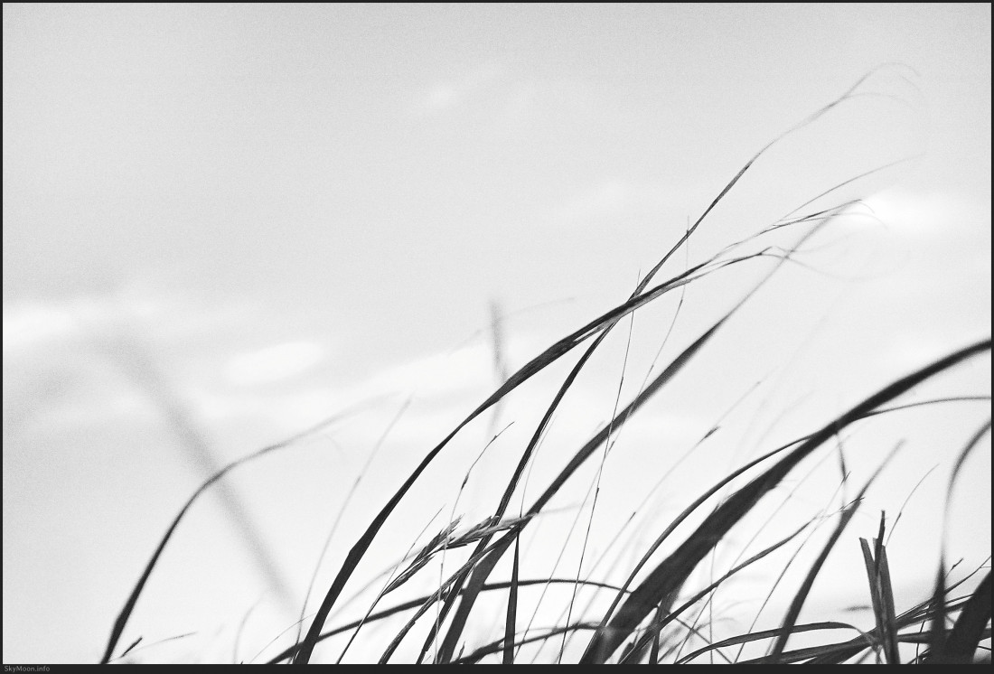 소매물도 거북등 Photo-Image