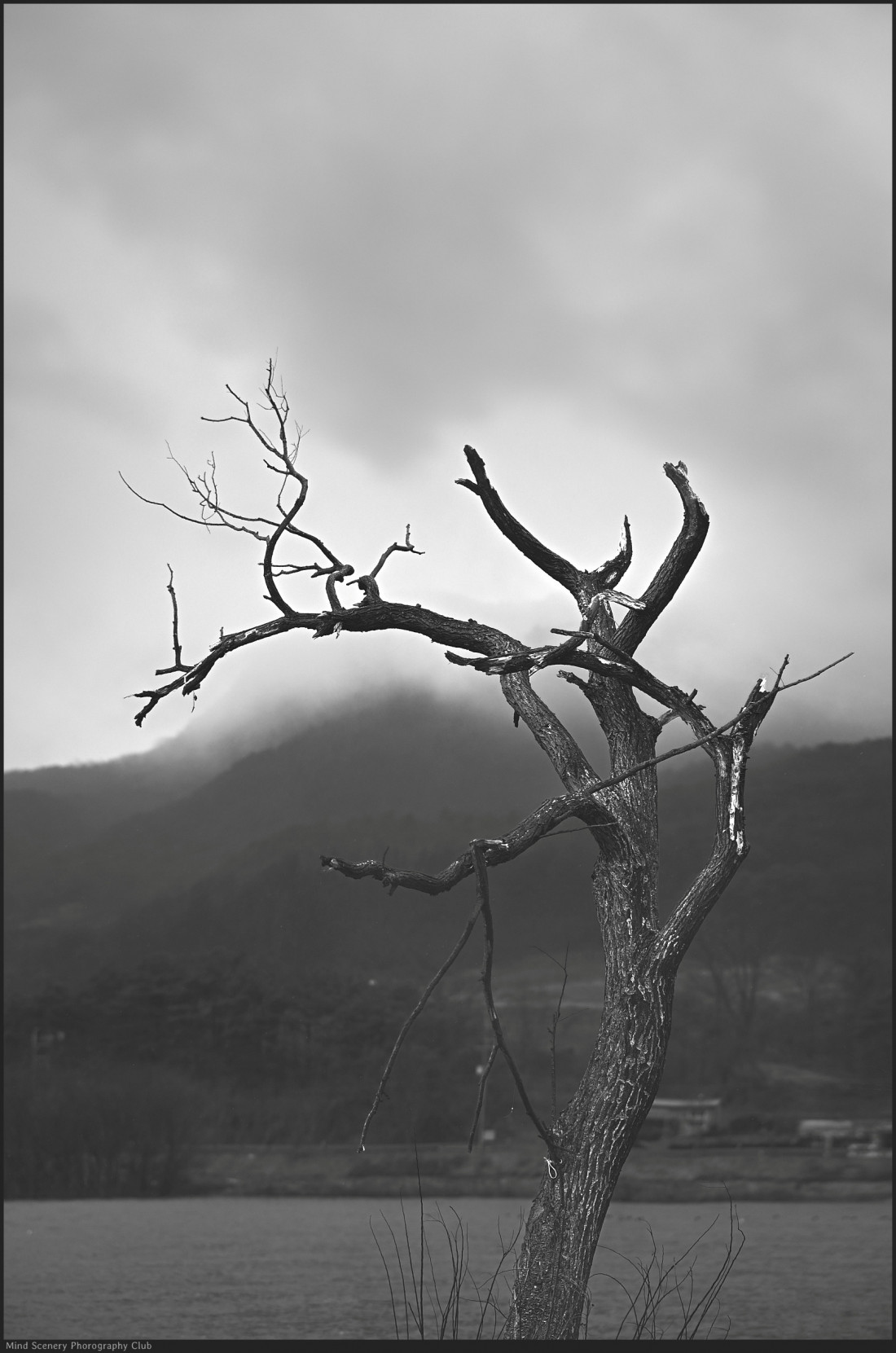 전시회 감사 인사-마음으로 본 풍경_Exhibition Appreciation-The view from mind Photo-Image