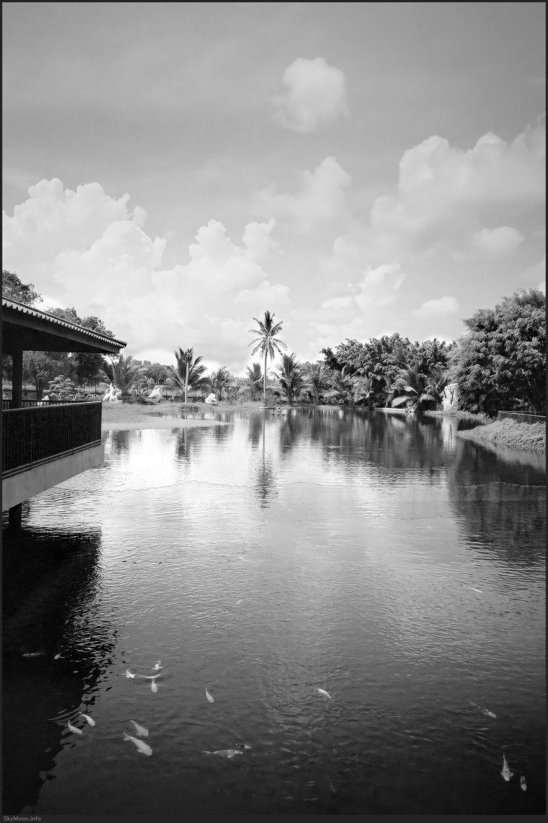 태국 방콕 Photo-Image