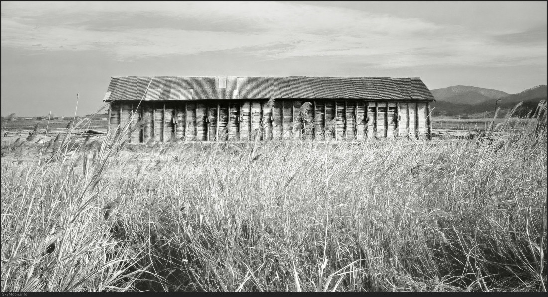 구시포 해변 Photo-Image