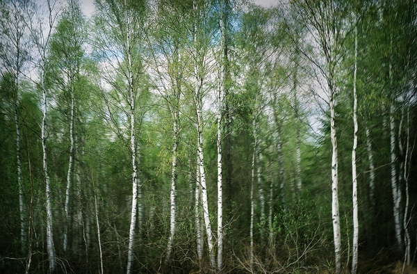 길 위의 풍경 (러시아,에스토니아) Photo-Image