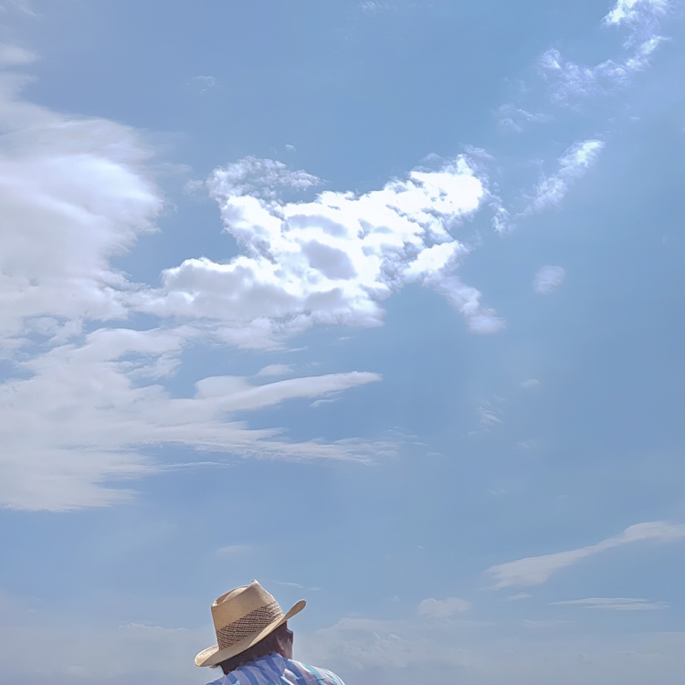 삶의 여행 (A journey of life)_길리 트라왕안 Photo-Image