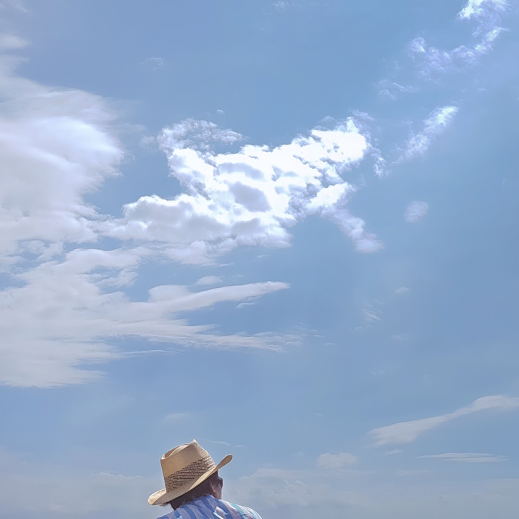 삶의 여행 (A journey of life)_길리 트라왕안 Photo-Image