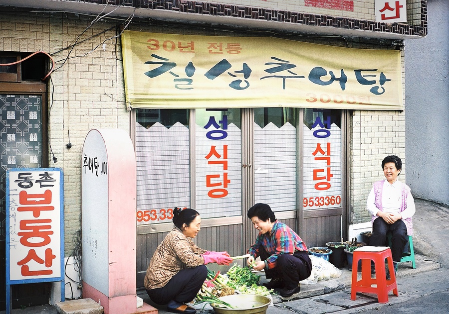 봄의 시작 Photo-Image