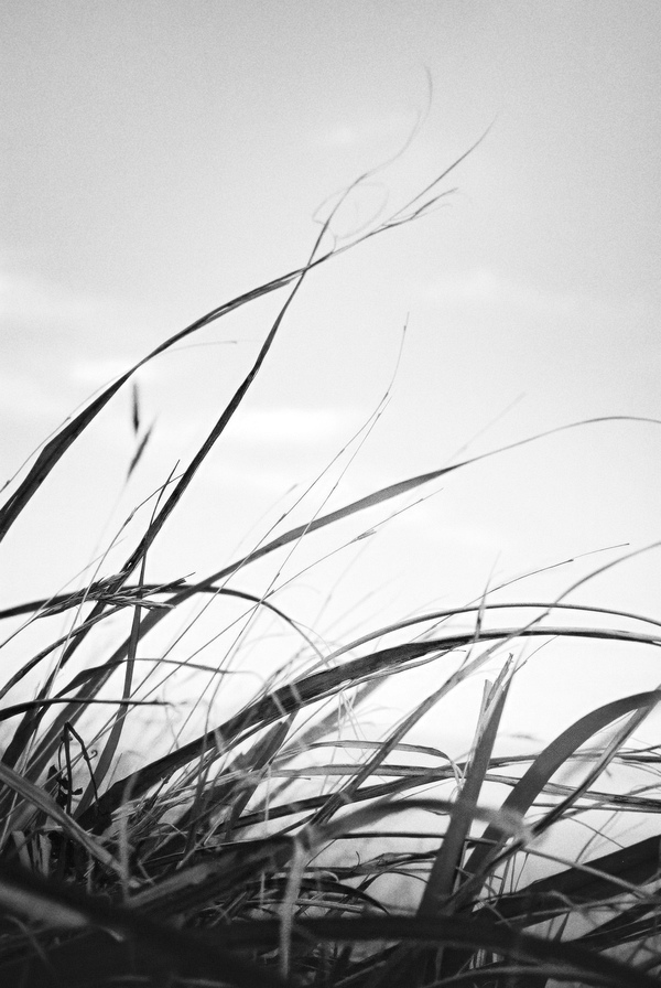 내 안엔 니가 저물고 (The you inside me fades) Photo-Image