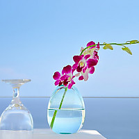 빛의 태어남 (The Emergence of Light)