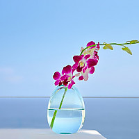 빛의 태어남 (The Emergence of Light)