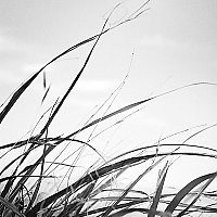 내 안엔 니가 저물고 (The you inside me fades)