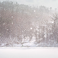 눈의 시공(時空) (Time and space of snow)