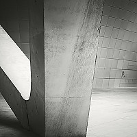 길 없는 길 (A pathless road)