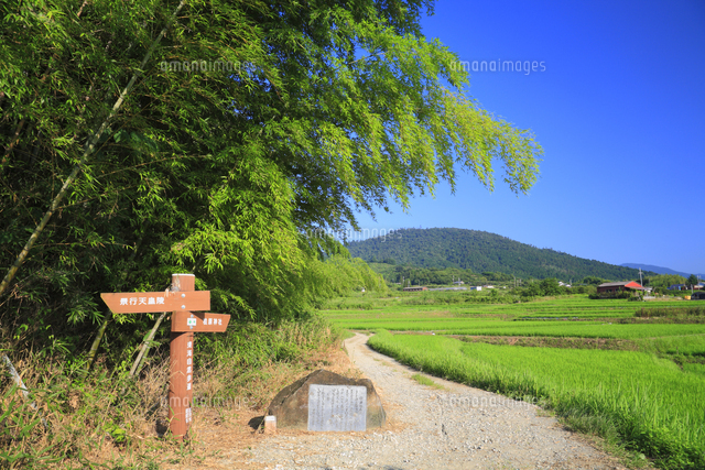 출사지) 일본 나라현 야마노베노미치(山の辺の道)_야마노베길_일본의 가장 오래된 길 Photo-Image