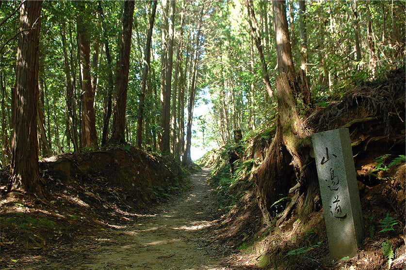 출사지) 일본 나라현 야마노베노미치(山の辺の道)_야마노베길_일본의 가장 오래된 길 Photo-Image