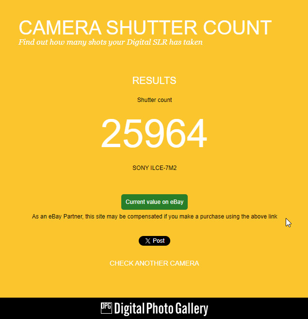 Canon R6_Error 20 (셔터 박스 에러) Photo-Image