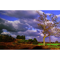 어느 날의 순광 일몰 촬영 일기 (김영갑의 사진을 보면서)