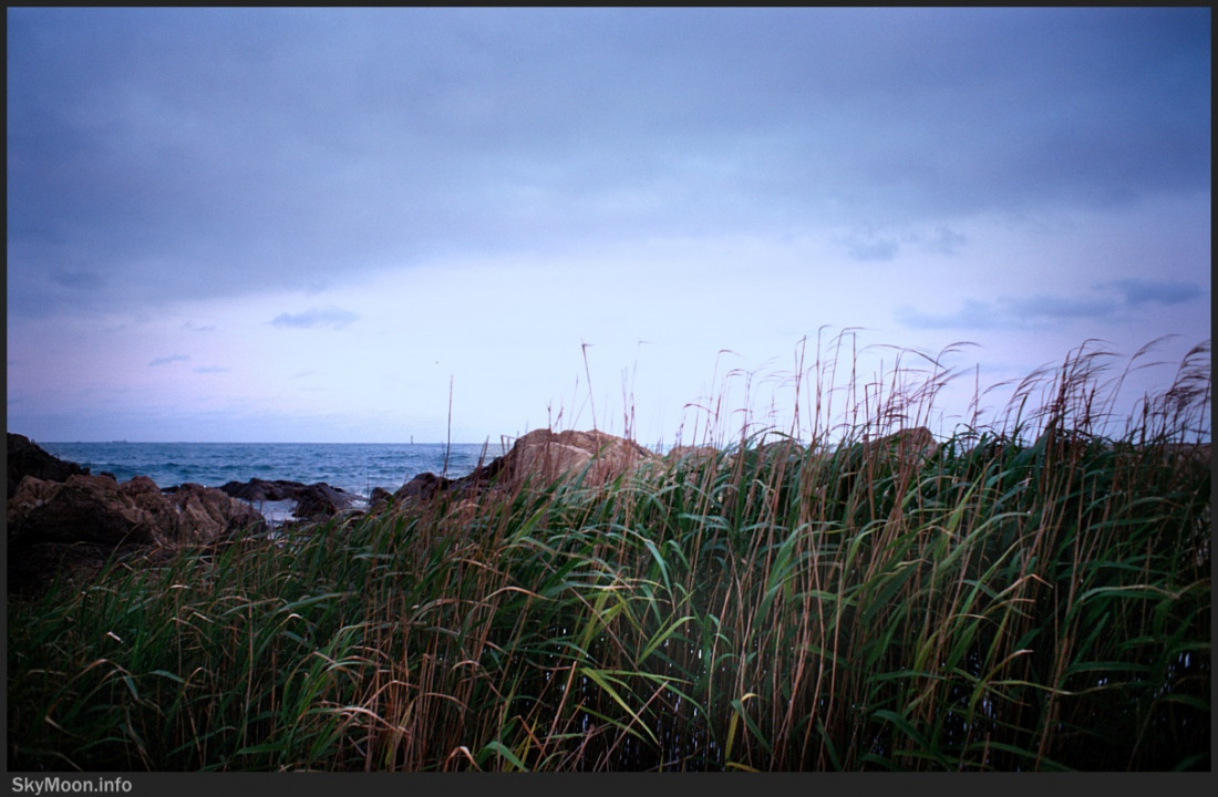 바다,곁을 걷다 (The Sea,I walk by his side) Photo-Image