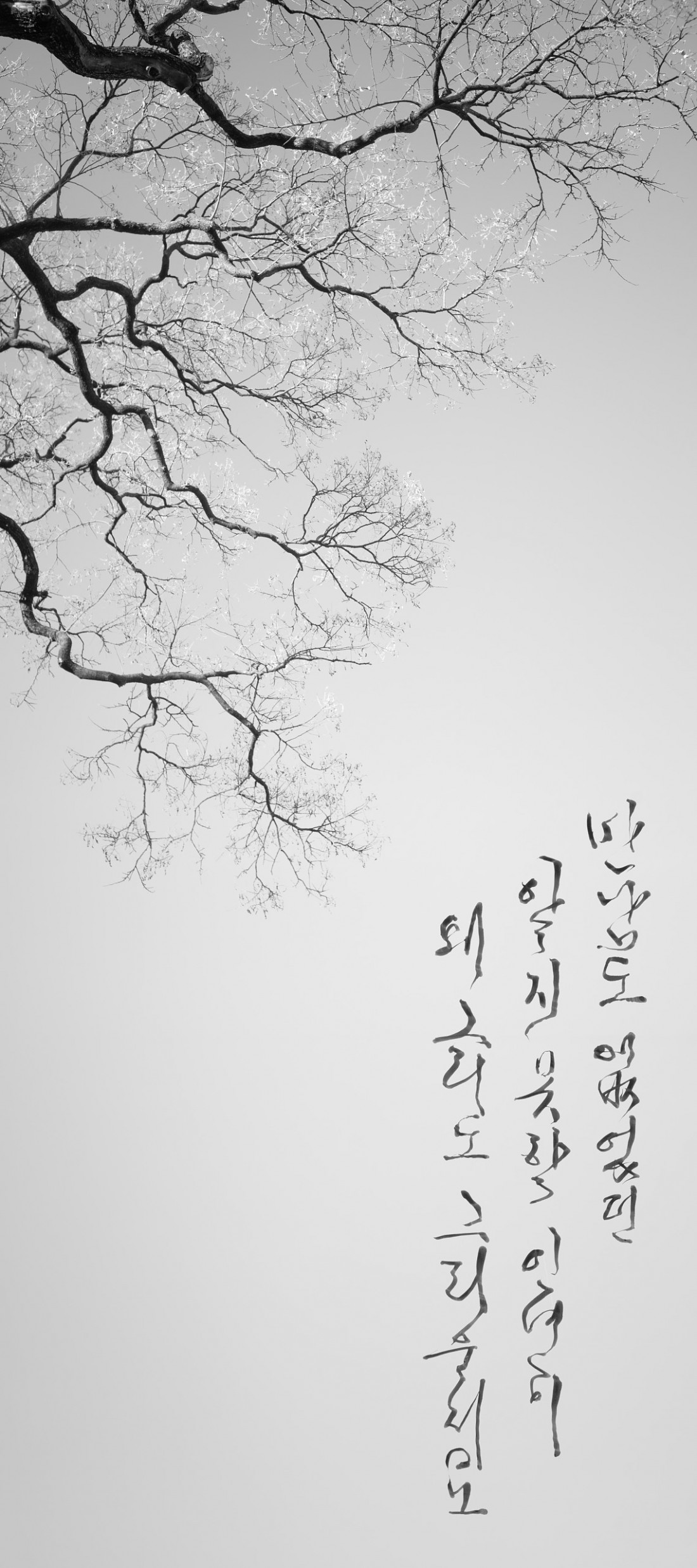 만남도 없었던 Photo-Image