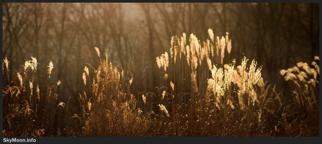 그대가 사랑에 대해 물었었지요.Photo-Image