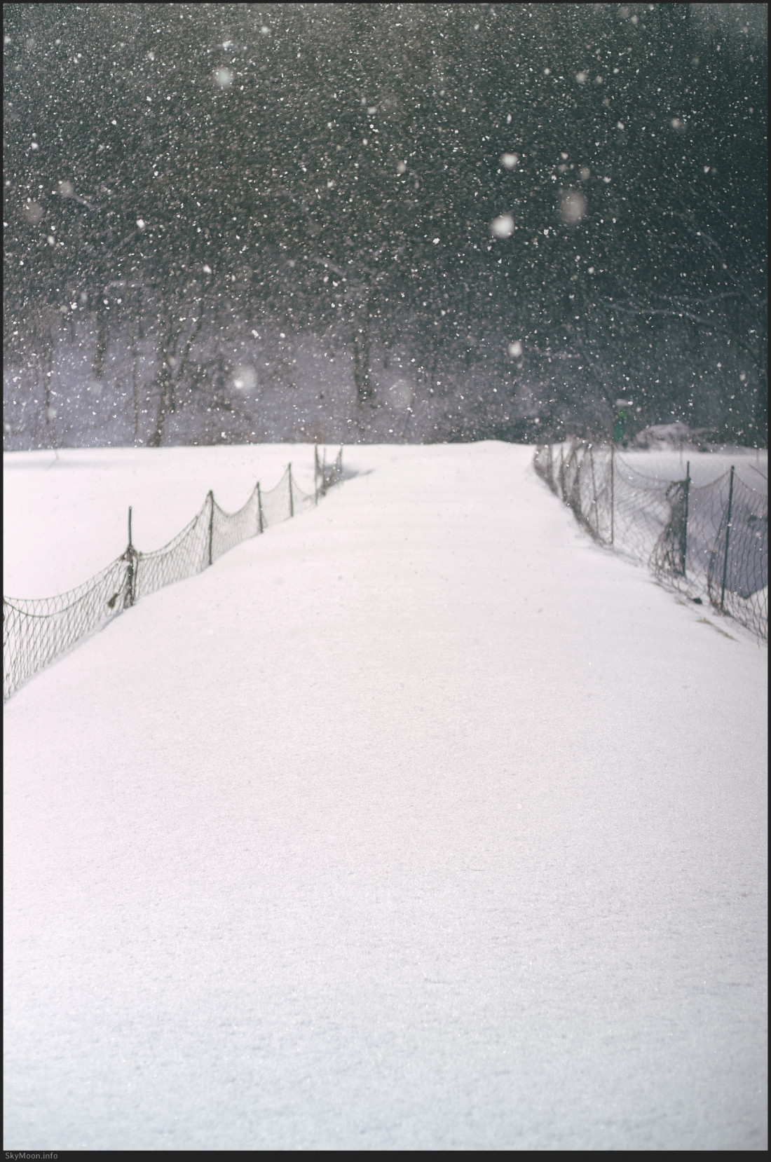 눈의 시공(時空) (Time and space of snow) Photo-Image