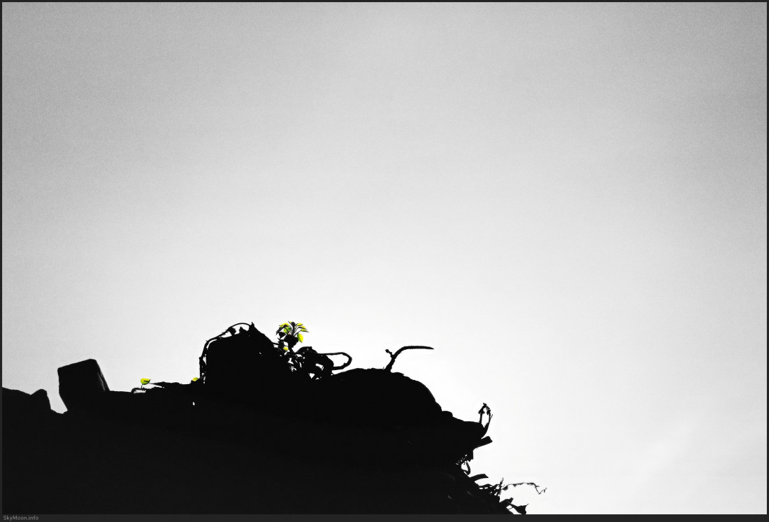 내 안엔 니가 저물고 (The you inside me fades) Photo-Image