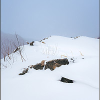 겨울 빛의 이야기 (Words of winter light)