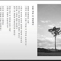 바람 거친 이 세상에서 (In this windy world)