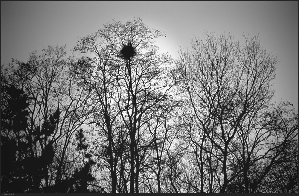 기다림을 위한 풍경 (The scenery made for waiting) Photo-Image