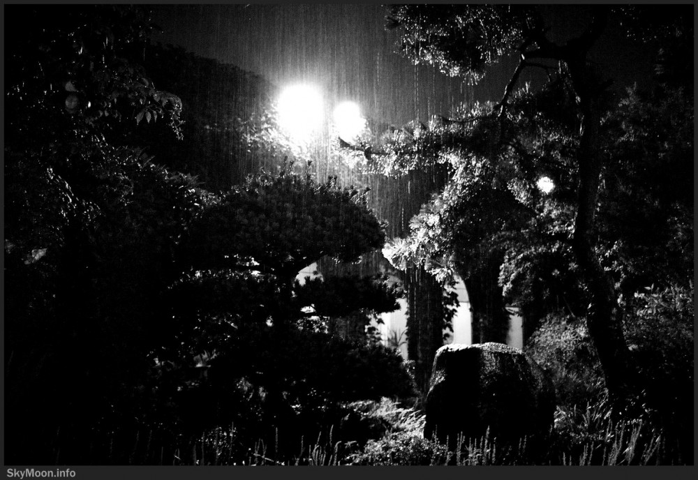 Rain 1 Photo-Image