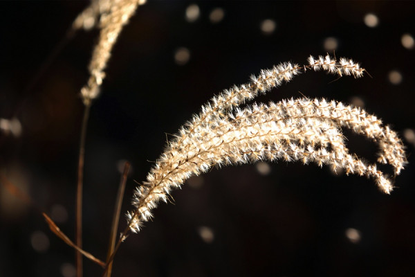 그 해의 가을 (The autumn of that year) 1 Photo-Image