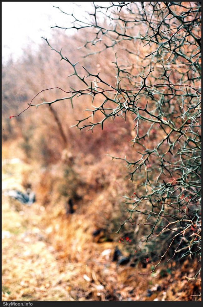 겨울 2003 Photo-Image