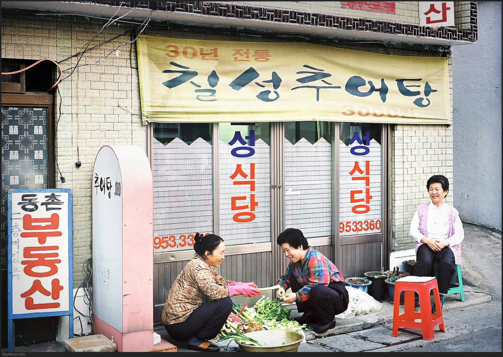 봄의 시작 Photo-Image