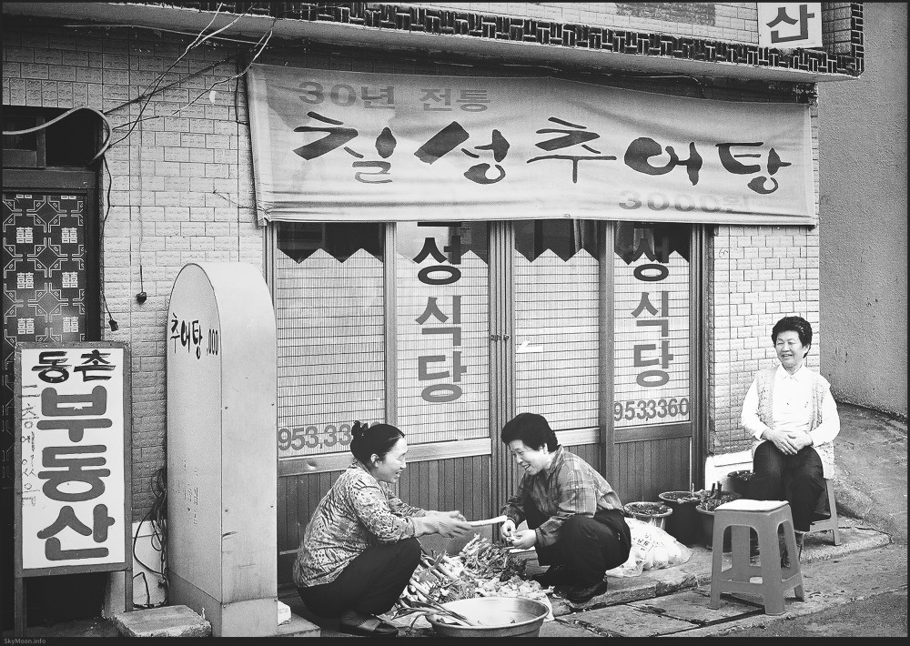 봄의 시작 Photo-Image