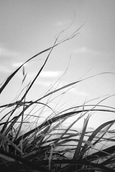 내 안엔 니가 저물고 Photo-Image