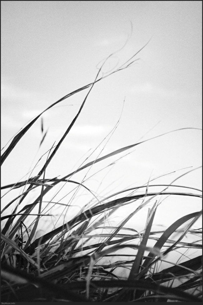 내 안엔 니가 저물고 (The you inside me fades) Photo-Image