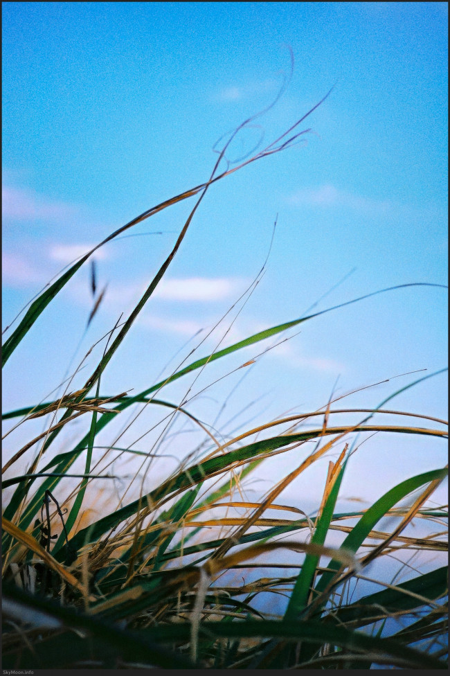 내 안엔 니가 저물고 Photo-Image