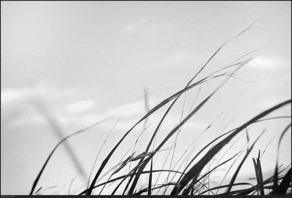 내 안엔 니가 저물고 (The you inside me fades) Photo-Image