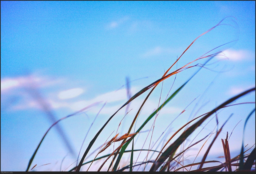 내 안엔 니가 저물고 Photo-Image