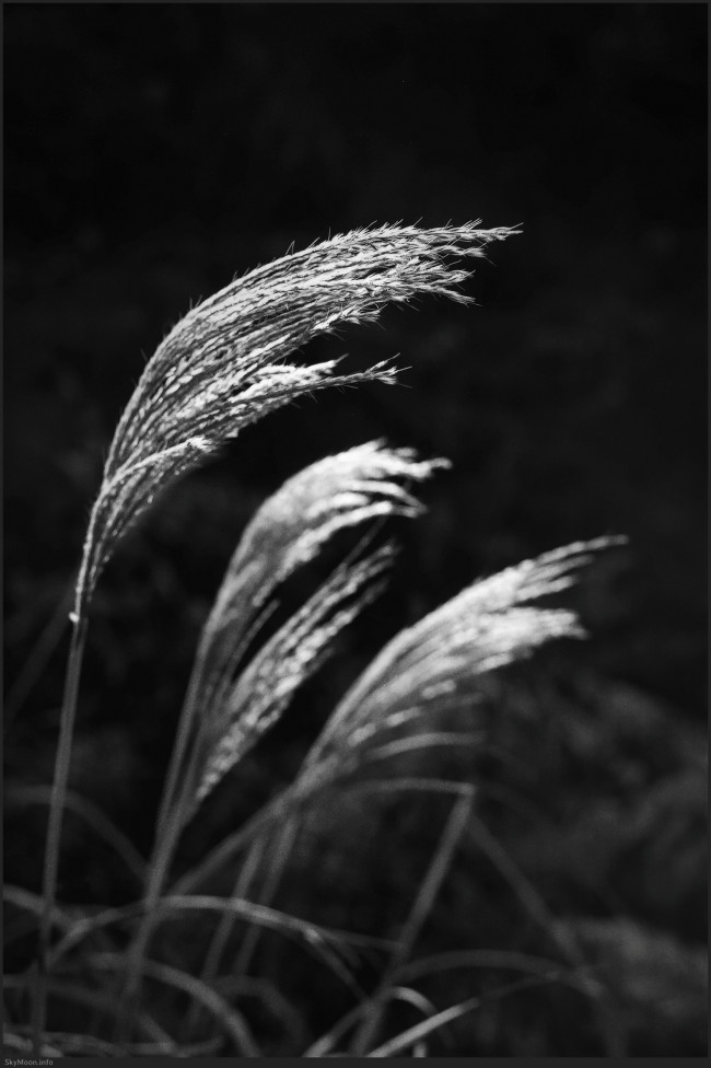 내 안엔 니가 저물고 (The you inside me fades) Photo-Image