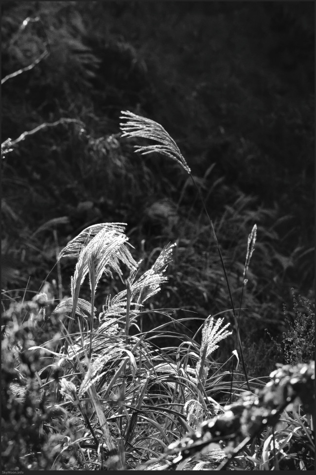 내 안엔 니가 저물고 (The you inside me fades) Photo-Image